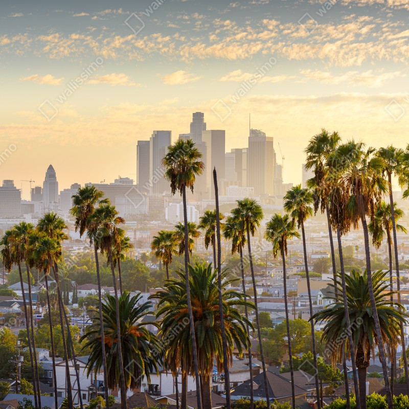 Naklejka na drzwi złota panorama Los Angeles z palmami – Wallissimo® Naklejka na drzwi złota panorama Los Angeles z palmami – Wallissimo®