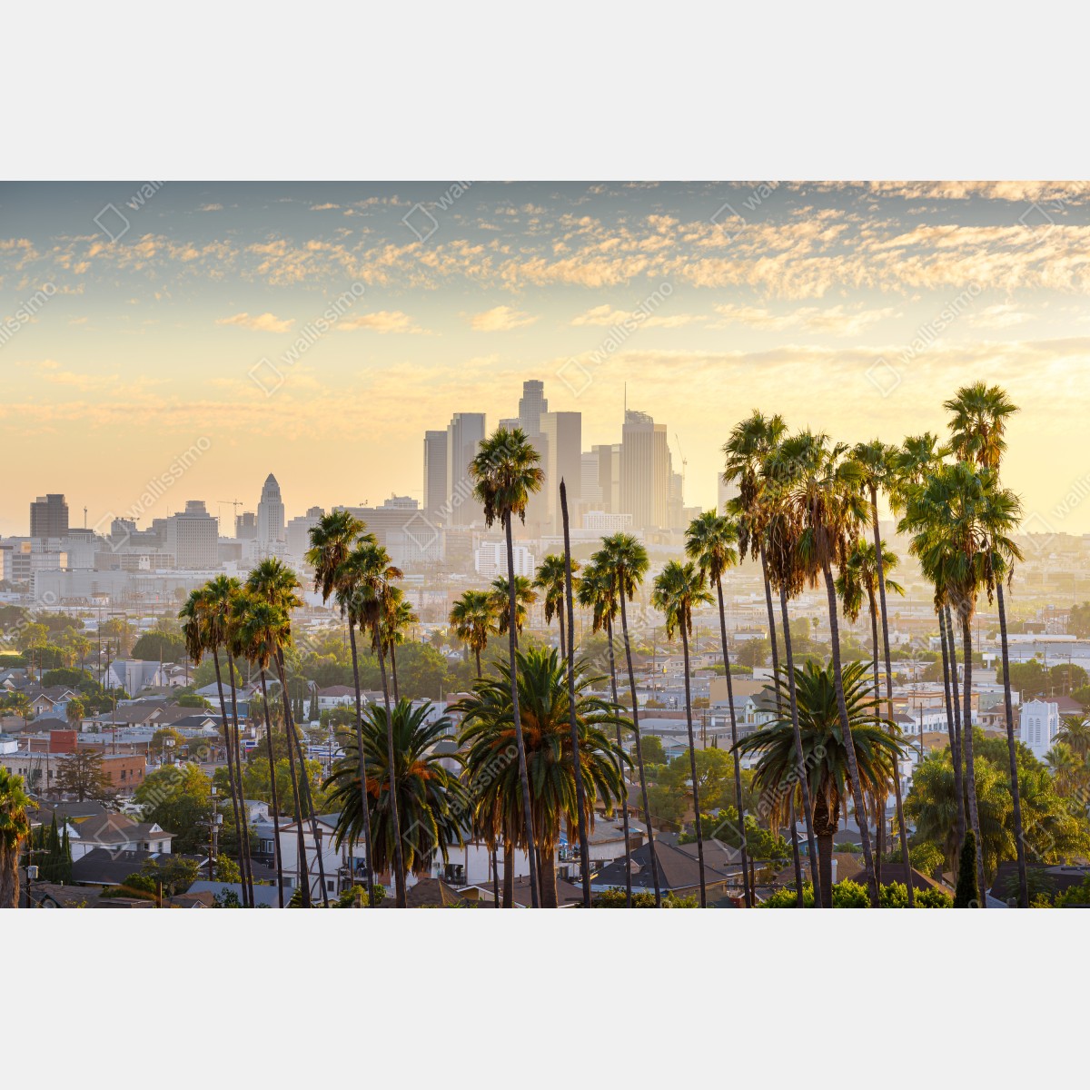 Naklejka na drzwi złota panorama Los Angeles z palmami – Wallissimo® Naklejka na drzwi złota panorama Los Angeles z palmami – Wallissimo®