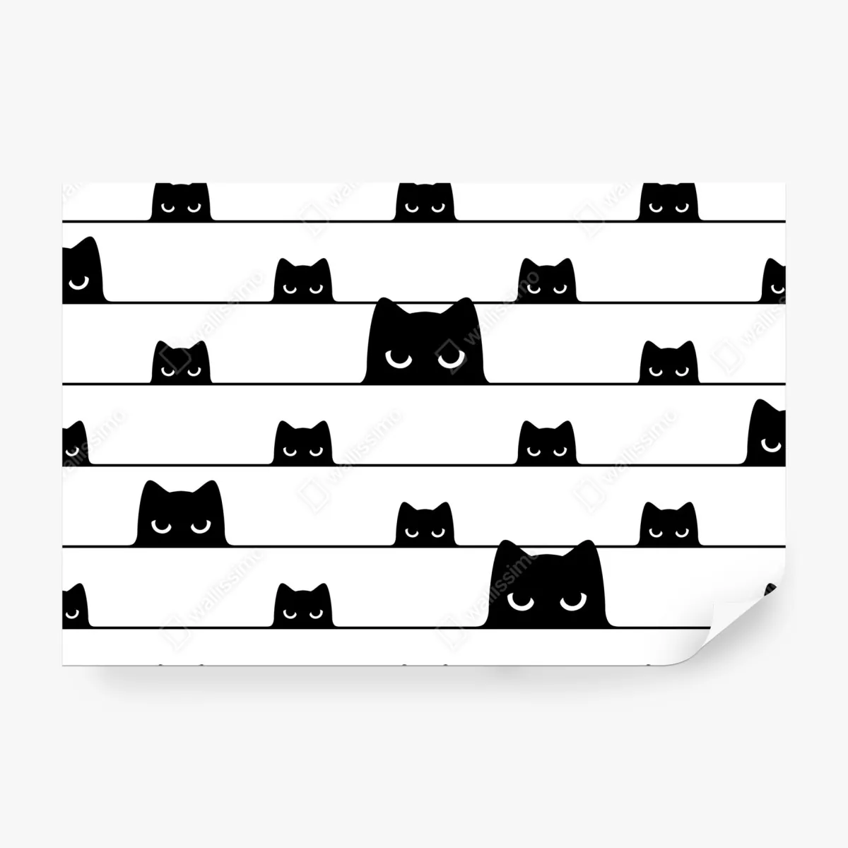 Fototapeta figlarne koty wyglądające zza pasków – Wallissimo® Fototapeta figlarne koty wyglądające zza pasków – Wallissimo®