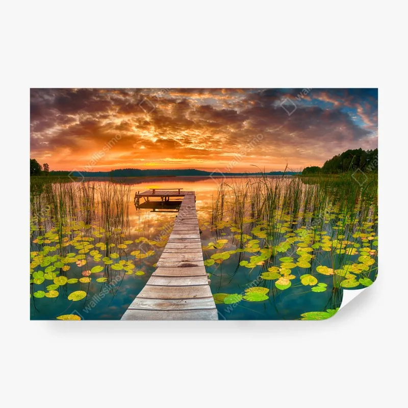 Fototapeta tropikalny wzór z zebrą i monsterą – Wallissimo®