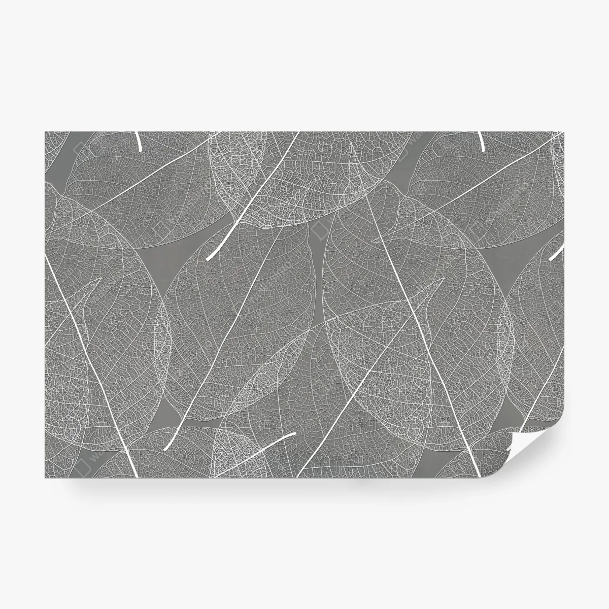 Fototapeta delikatny wzór liści w odcieniach szarości – Wallissimo® Fototapeta delikatny wzór liści w odcieniach szarości – Wallissimo®