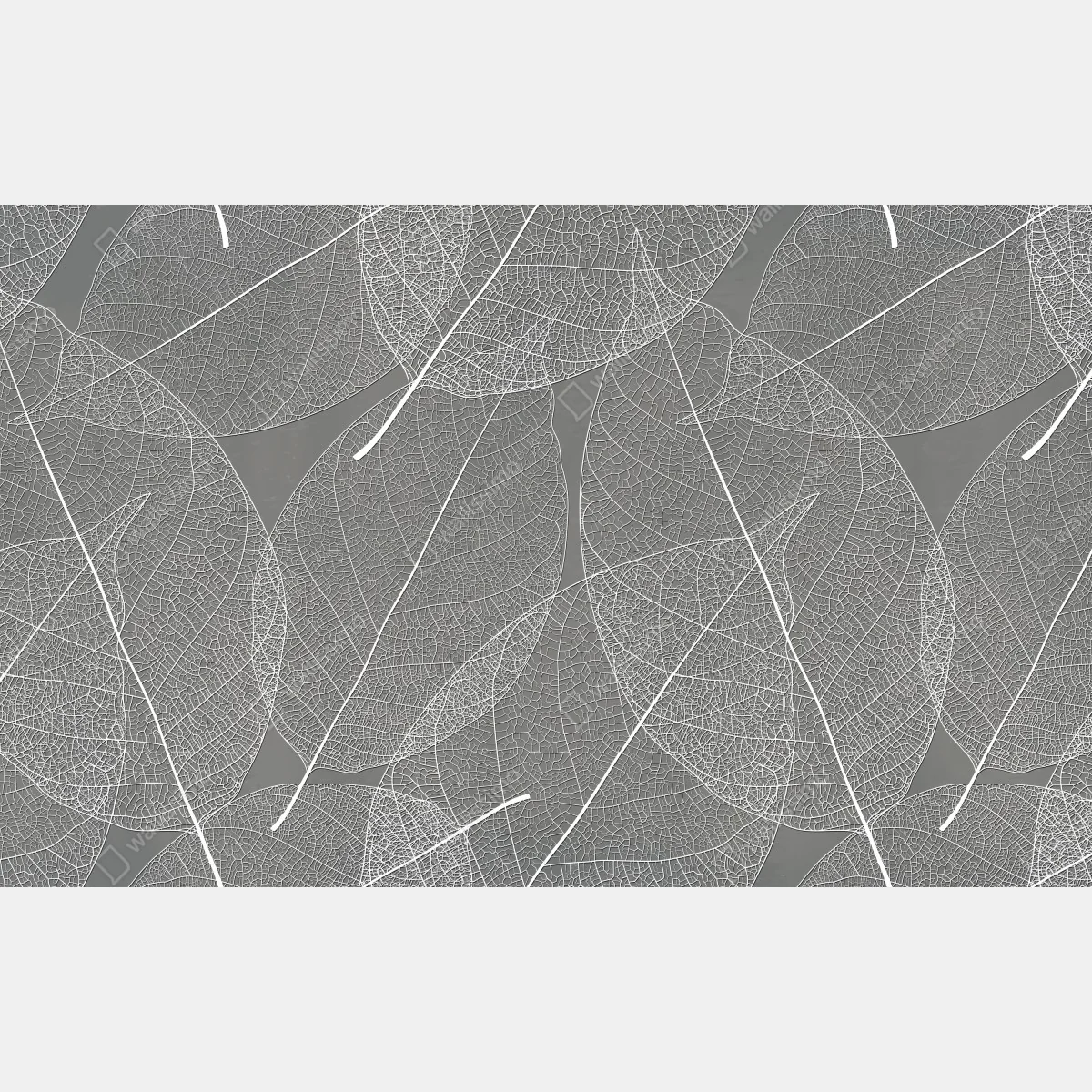 Fototapeta delikatny wzór liści w odcieniach szarości – Wallissimo® Fototapeta delikatny wzór liści w odcieniach szarości – Wallissimo®