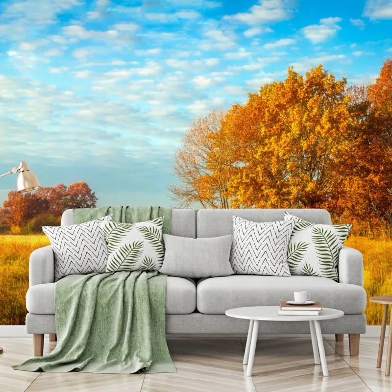 Fototapeta złota jesienna łąka