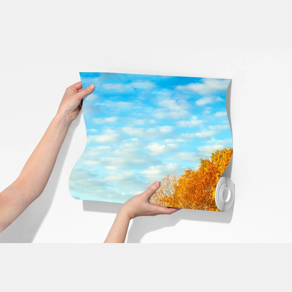 Fototapeta złota jesienna łąka – Wallissimo® Fototapeta złota jesienna łąka – Wallissimo®