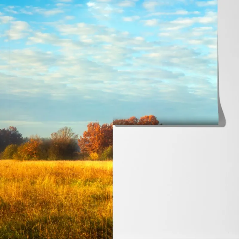 Fototapeta złota jesienna łąka – Wallissimo® Fototapeta złota jesienna łąka – Wallissimo®