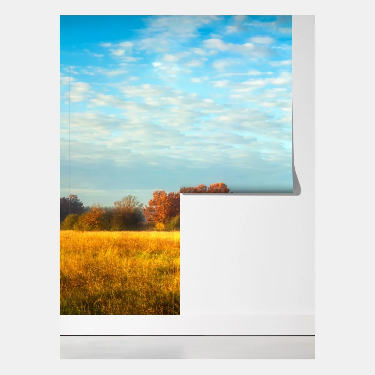 Fototapeta złota jesienna łąka – Wallissimo® Fototapeta złota jesienna łąka – Wallissimo®