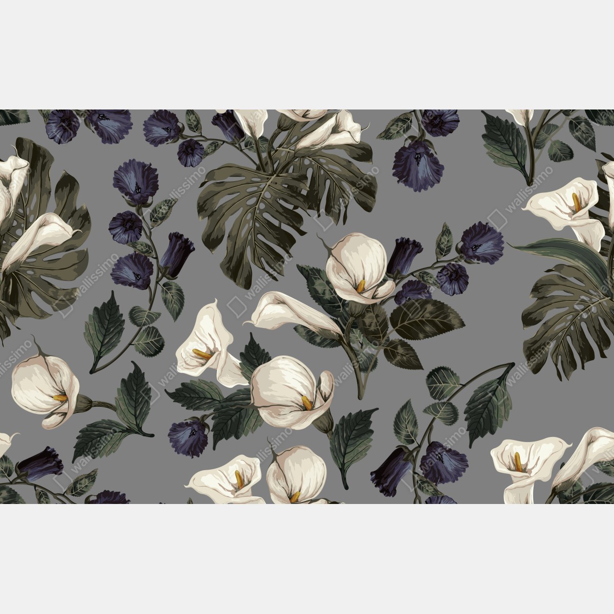Fototapeta botaniczny wzór: delikatne kalie i liście monstery na szarym tle – Wallissimo® Fototapeta botaniczny wzór: delikatne kalie i liście monstery na szarym tle – Wallissimo®
