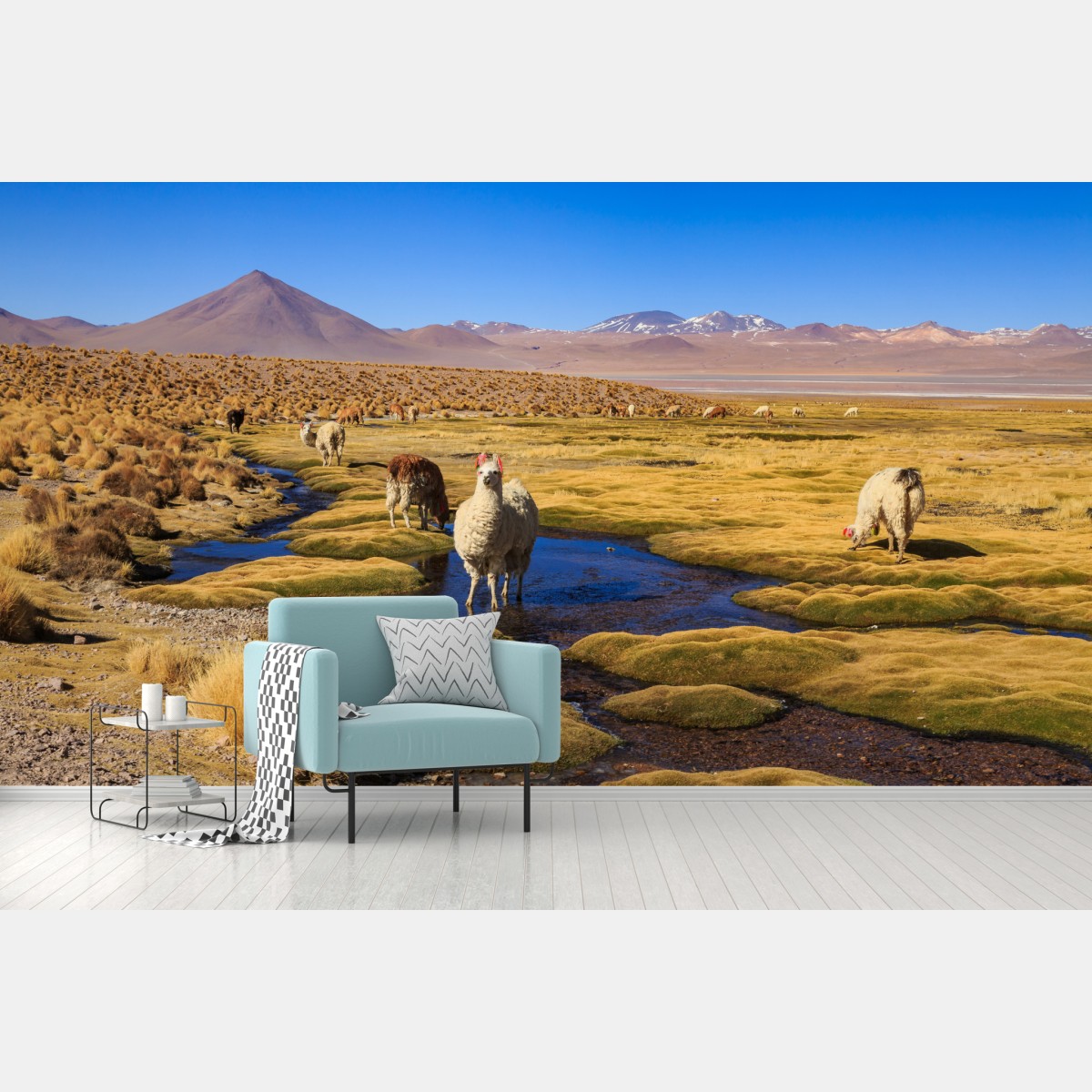 Wall mural llama on the Andes altiplano