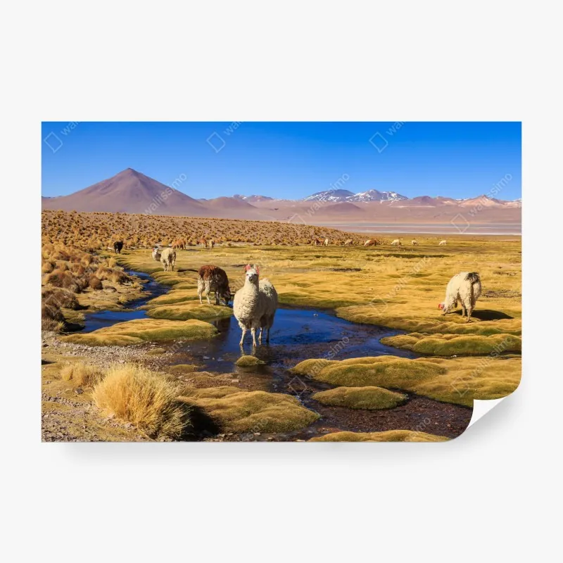 Fototapeta kolorowy wzór voxel 3d – Wallissimo®