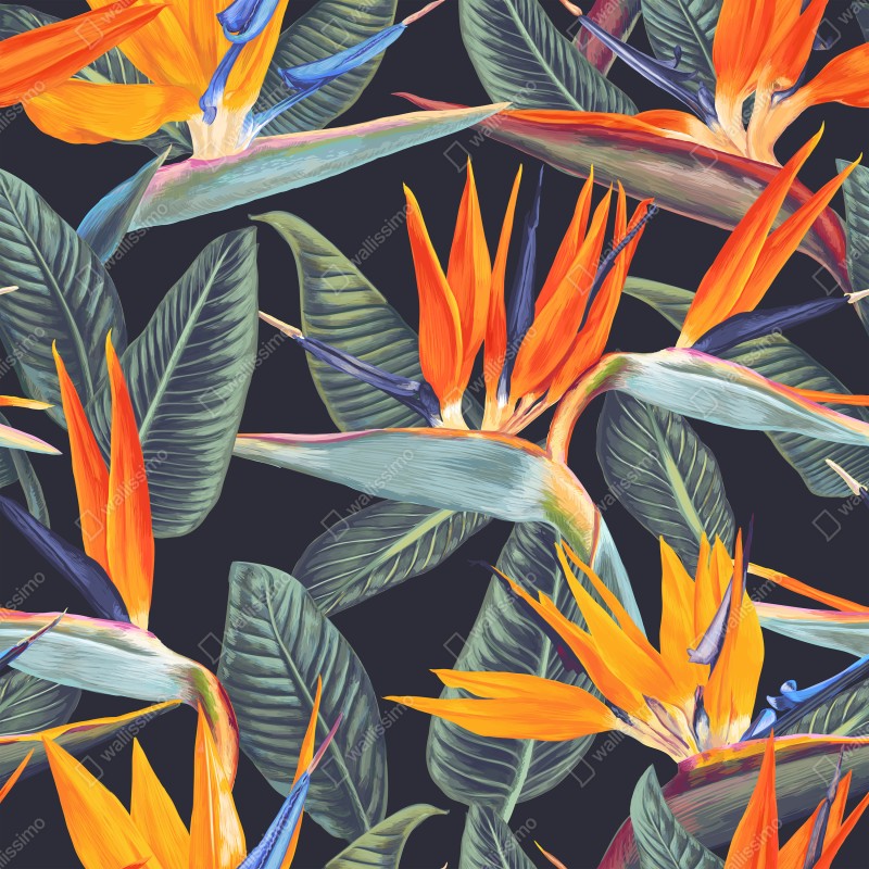 Fototapeta tropikalny wzór ze strelicjami – Wallissimo® Fototapeta tropikalny wzór ze strelicjami – Wallissimo®