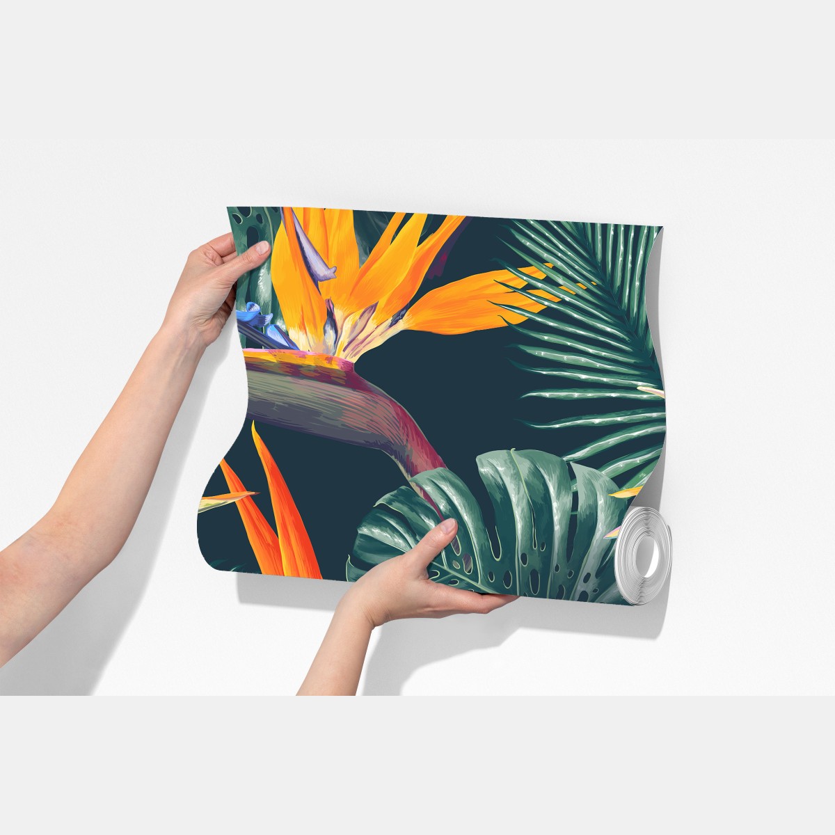 Fototapeta egzotyczny motyw rajskich ptaków i liści monstery – Wallissimo® Fototapeta egzotyczny motyw rajskich ptaków i liści monstery – Wallissimo®