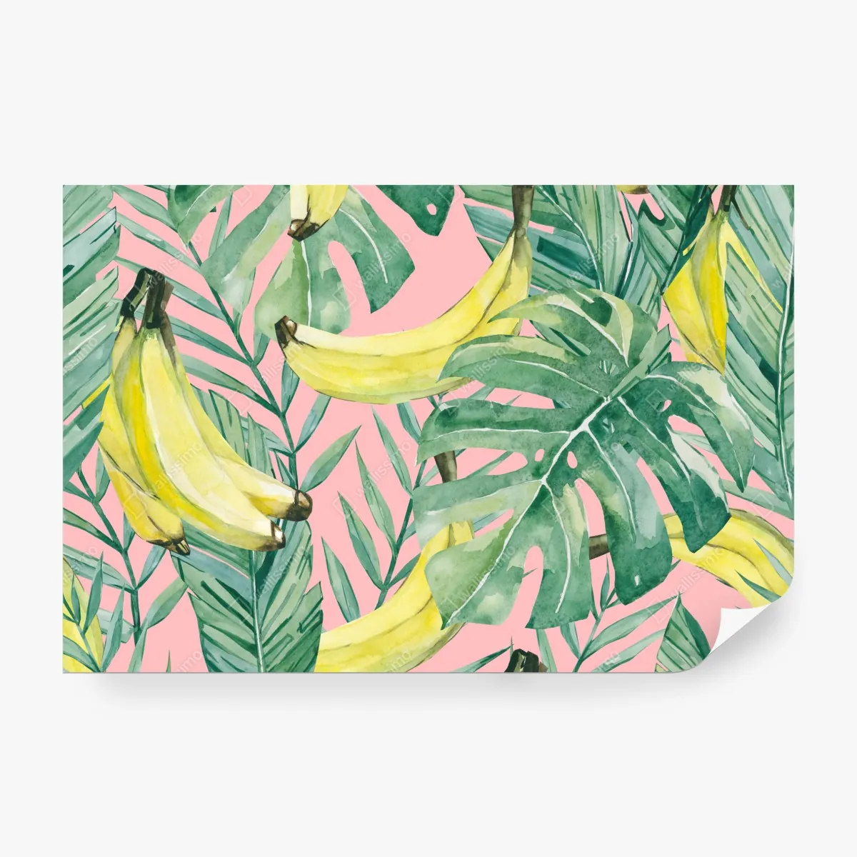 Fototapeta akwarelowy wzór z bananami i liśćmi na różowym tle – Wallissimo® Fototapeta akwarelowy wzór z bananami i liśćmi na różowym tle – Wallissimo®