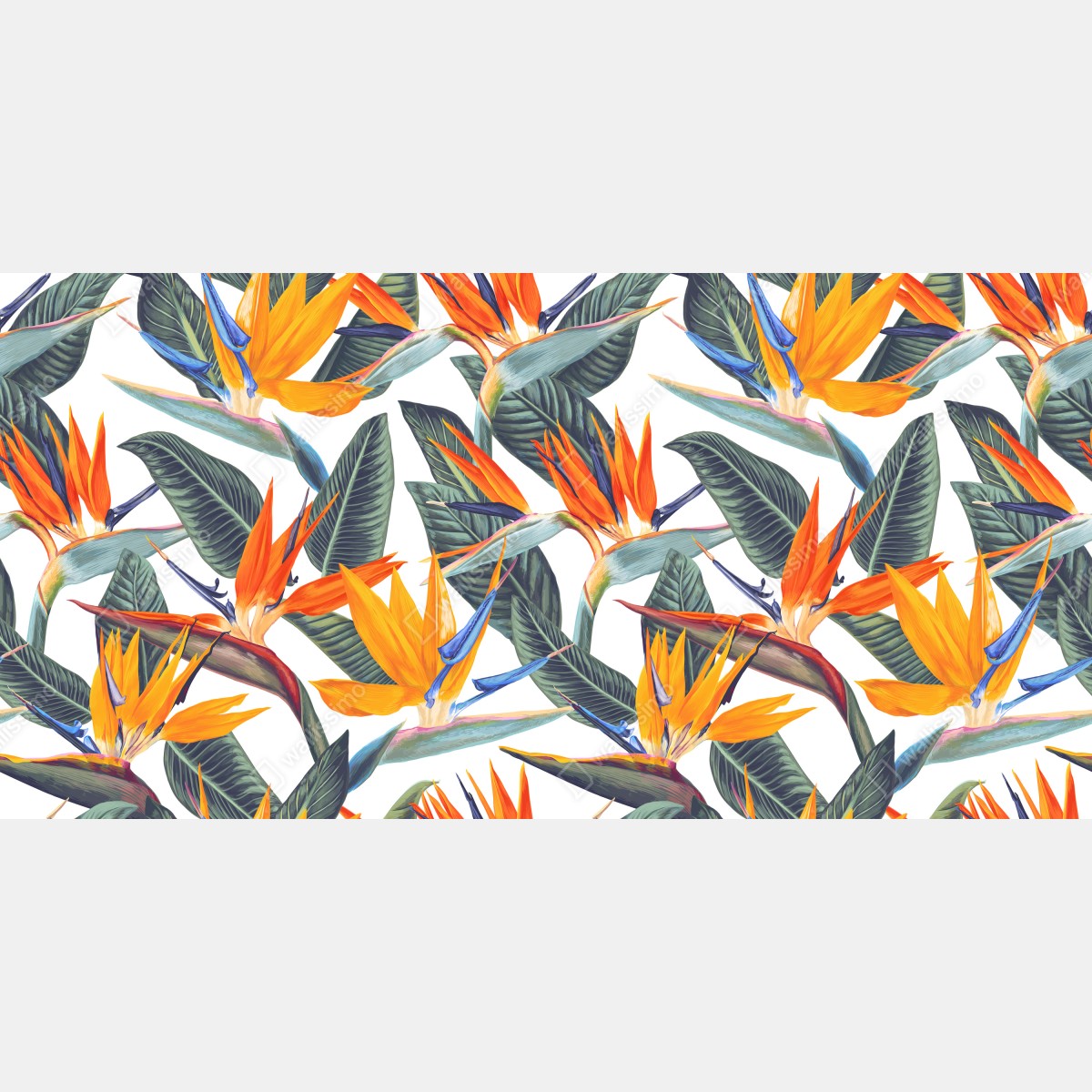 Fototapeta tropikalny wzór strelicji – Wallissimo® Fototapeta tropikalny wzór strelicji – Wallissimo®