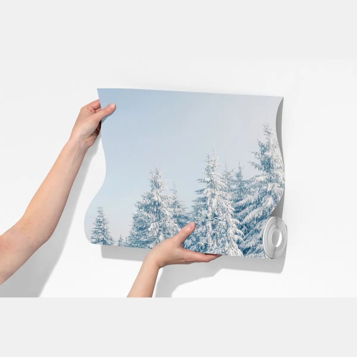 Fototapeta zimowa panorama lasu z zaśnieżonymi jodłami – Wallissimo® Fototapeta zimowa panorama lasu z zaśnieżonymi jodłami – Wallissimo®