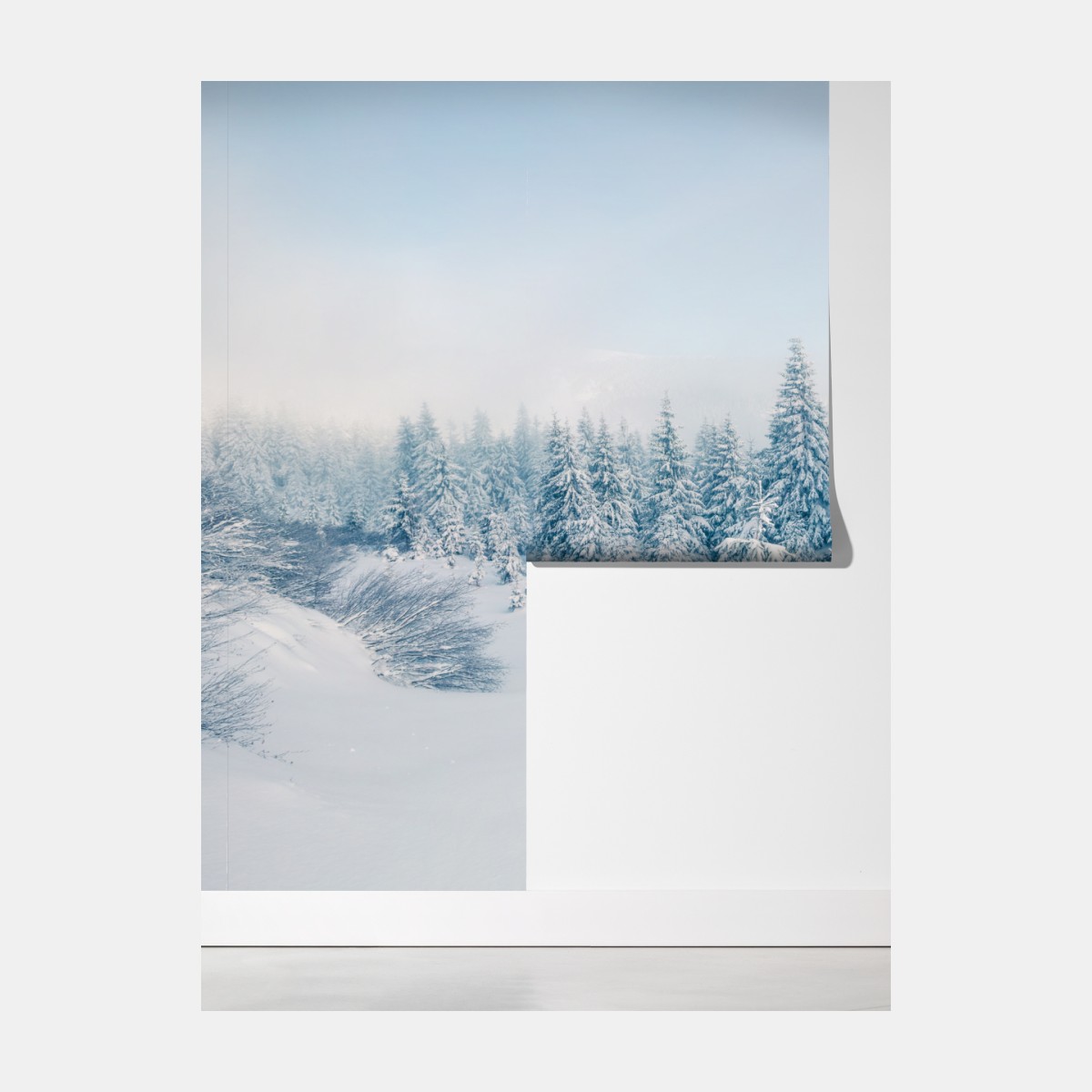 Fototapeta zimowa panorama lasu z zaśnieżonymi jodłami – Wallissimo® Fototapeta zimowa panorama lasu z zaśnieżonymi jodłami – Wallissimo®