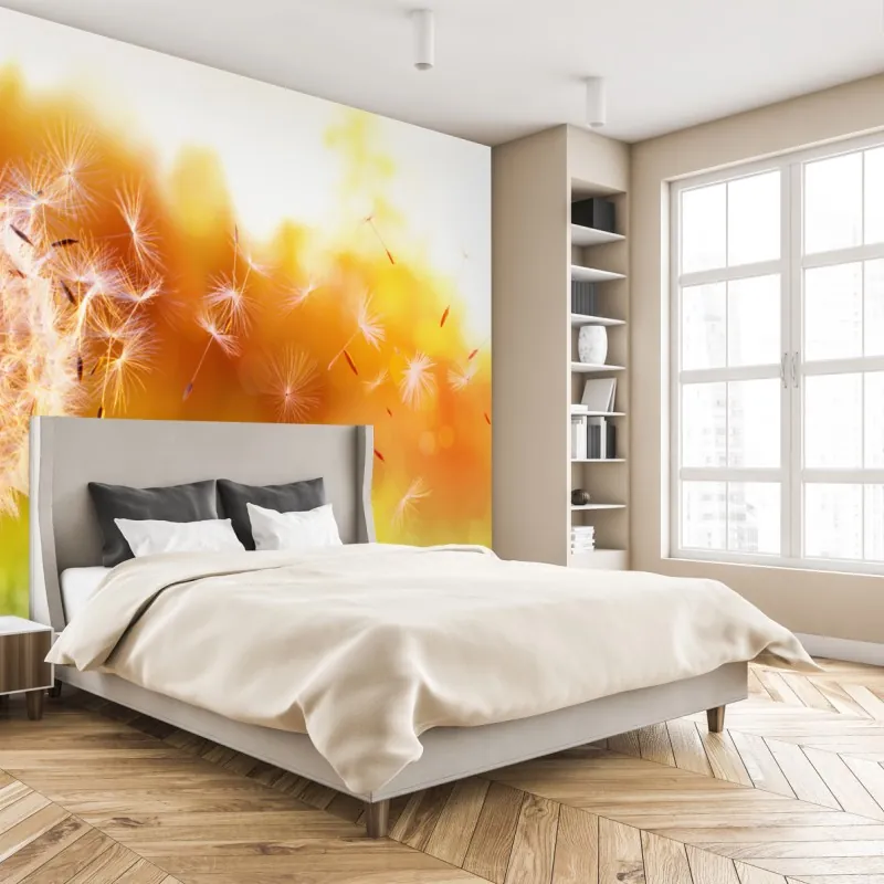 Fototapeta złoty dmuchawiec o zachodzie słońca