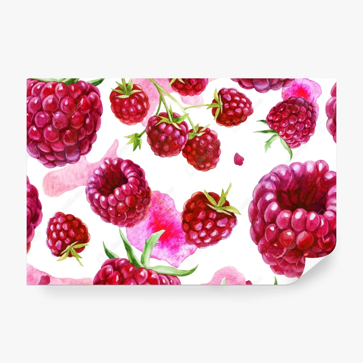 Fototapeta akwarelowy wzór z malinami – Wallissimo® Fototapeta akwarelowy wzór z malinami – Wallissimo®