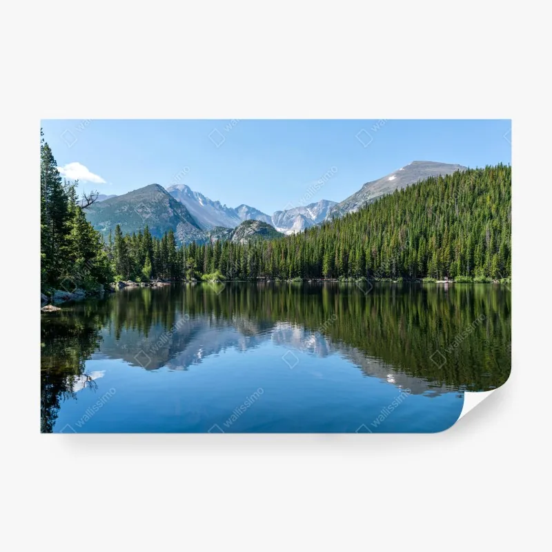 Fototapeta tropikalny wzór z zebrą i monsterą – Wallissimo®