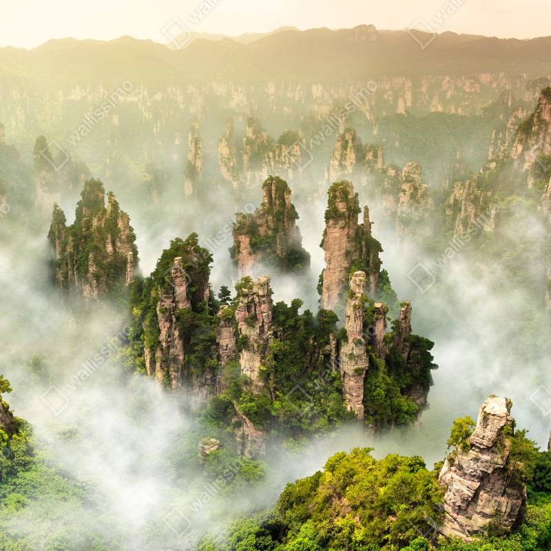 Fototapeta mglisty krajobraz skalny Zhangjiajie – Wallissimo® Fototapeta mglisty krajobraz skalny Zhangjiajie – Wallissimo®