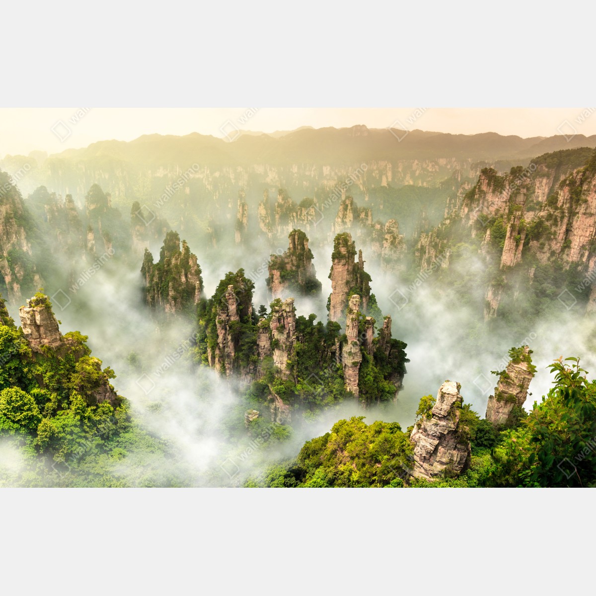 Fototapeta mglisty krajobraz skalny Zhangjiajie – Wallissimo® Fototapeta mglisty krajobraz skalny Zhangjiajie – Wallissimo®