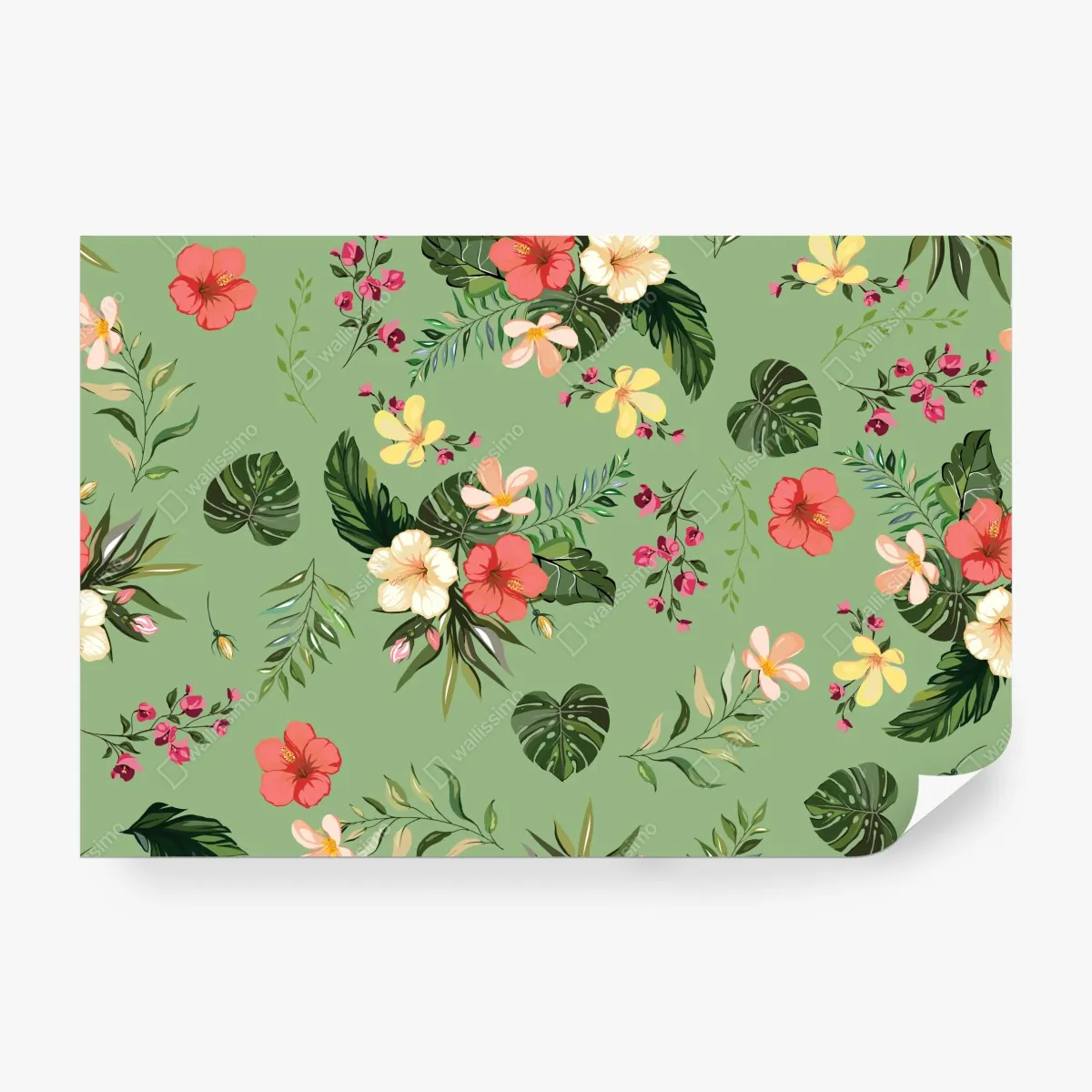 Fototapeta zielony tropikalny wzór hibiskusa – Wallissimo® Fototapeta zielony tropikalny wzór hibiskusa – Wallissimo®