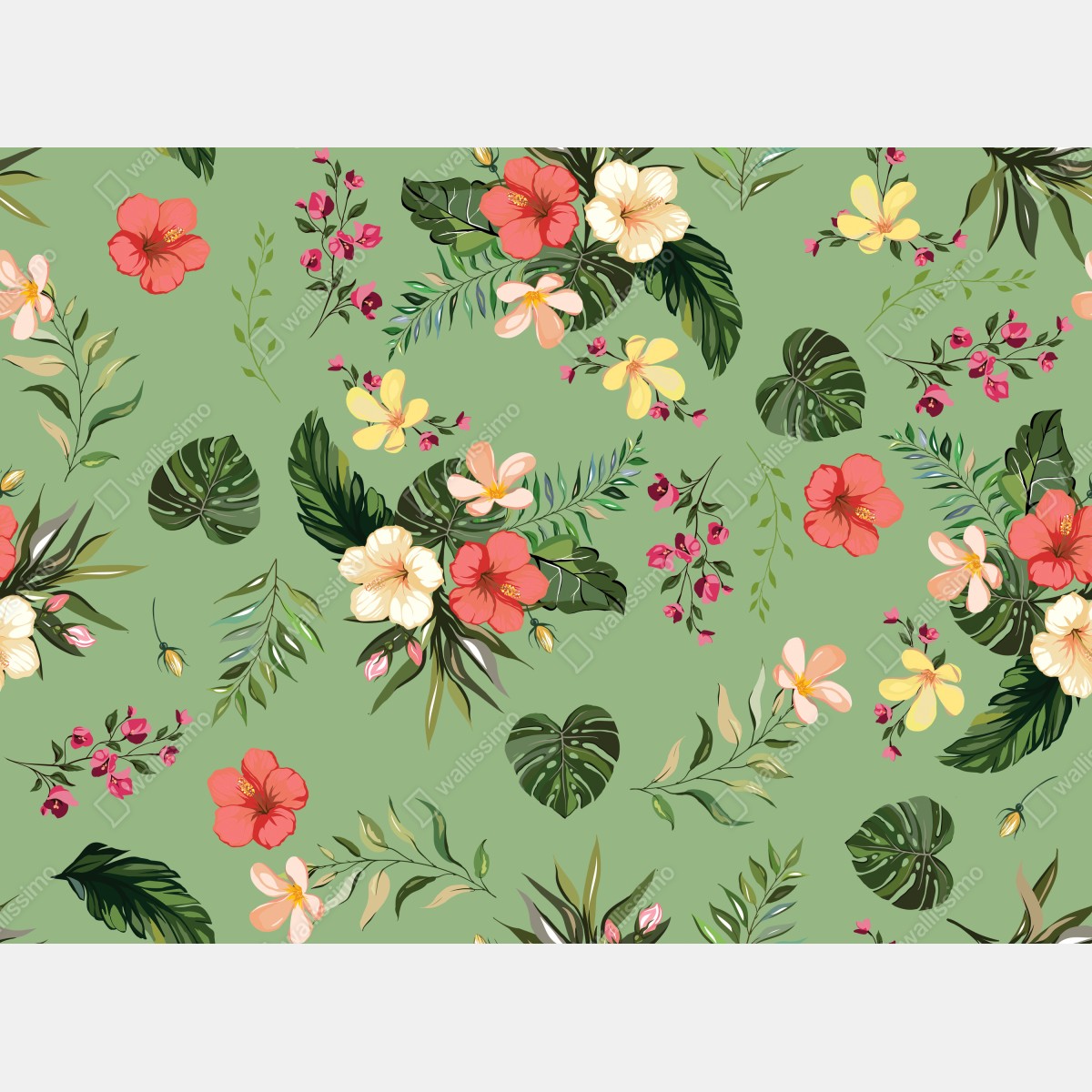 Fototapeta zielony tropikalny wzór hibiskusa – Wallissimo® Fototapeta zielony tropikalny wzór hibiskusa – Wallissimo®