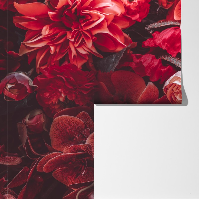 Fototapeta kwiatowa symfonia w odcieniach czerwieni – Wallissimo® Fototapeta kwiatowa symfonia w odcieniach czerwieni – Wallissimo®