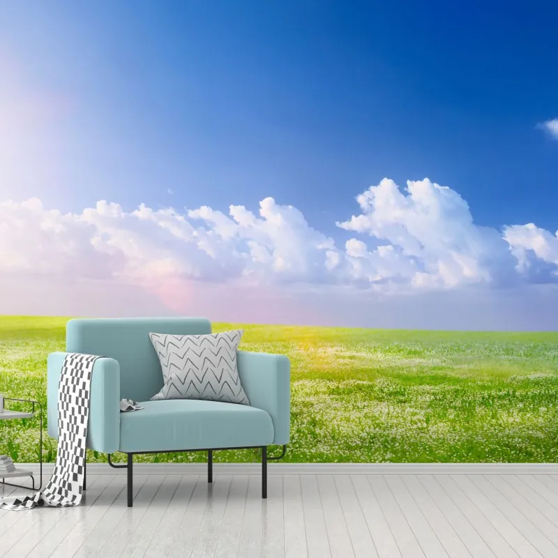 Fototapeta słoneczna wiosenna łąka pod niebieskim niebem