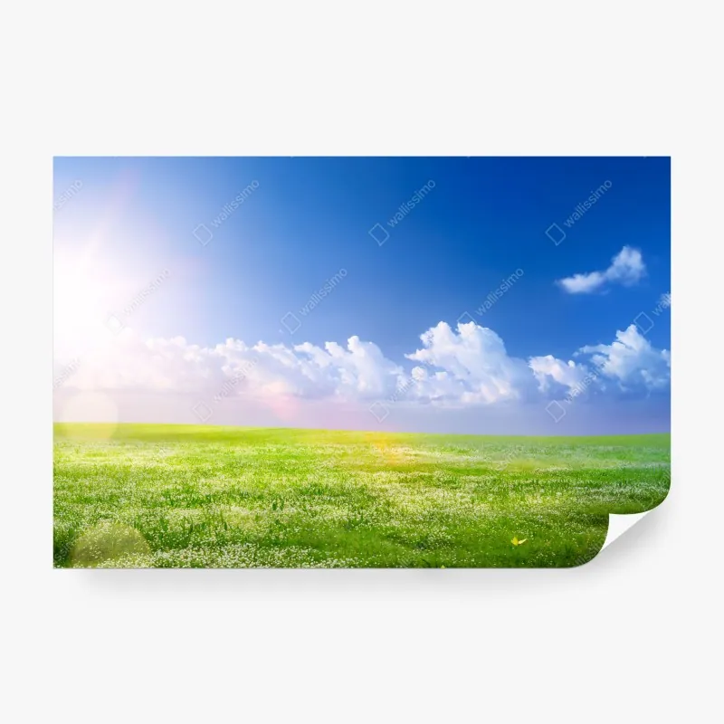 Fototapeta wzór z uroczymi lisami w pastelowym beżu – Wallissimo®