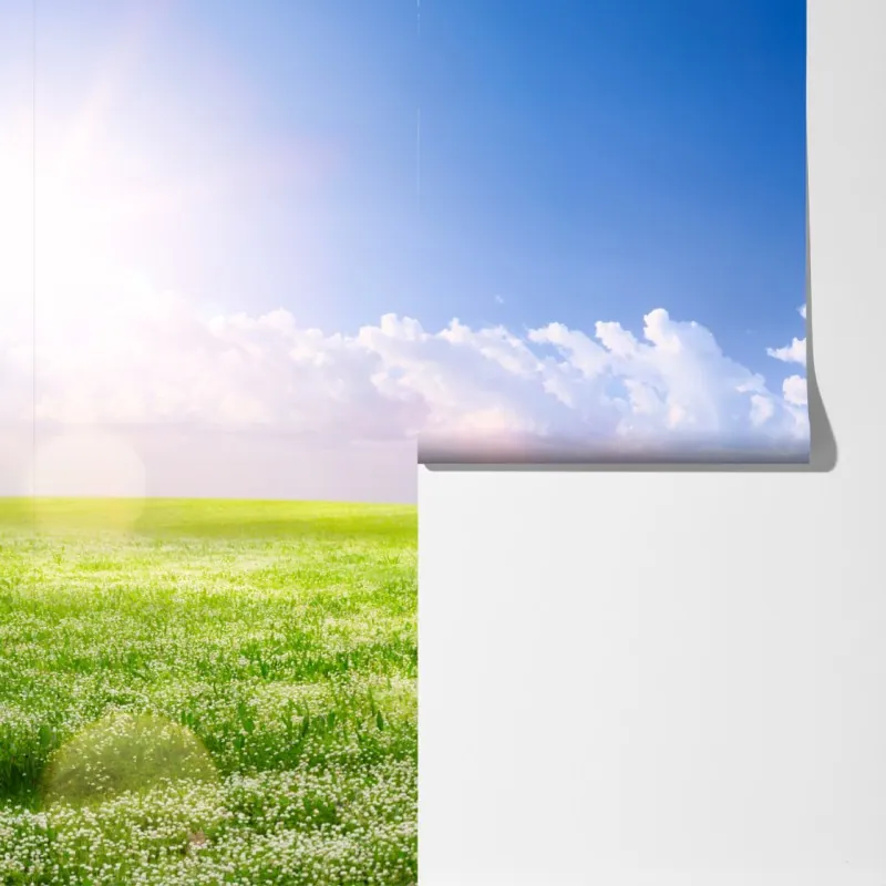 Fototapeta słoneczna wiosenna łąka pod niebieskim niebem – Wallissimo® Fototapeta słoneczna wiosenna łąka pod niebieskim niebem – Wallissimo®