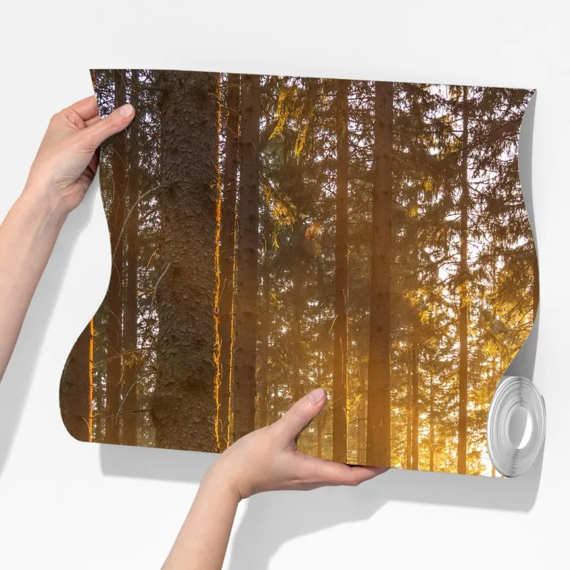 Fototapeta słoneczny las o poranku – Wallissimo® Fototapeta słoneczny las o poranku – Wallissimo®