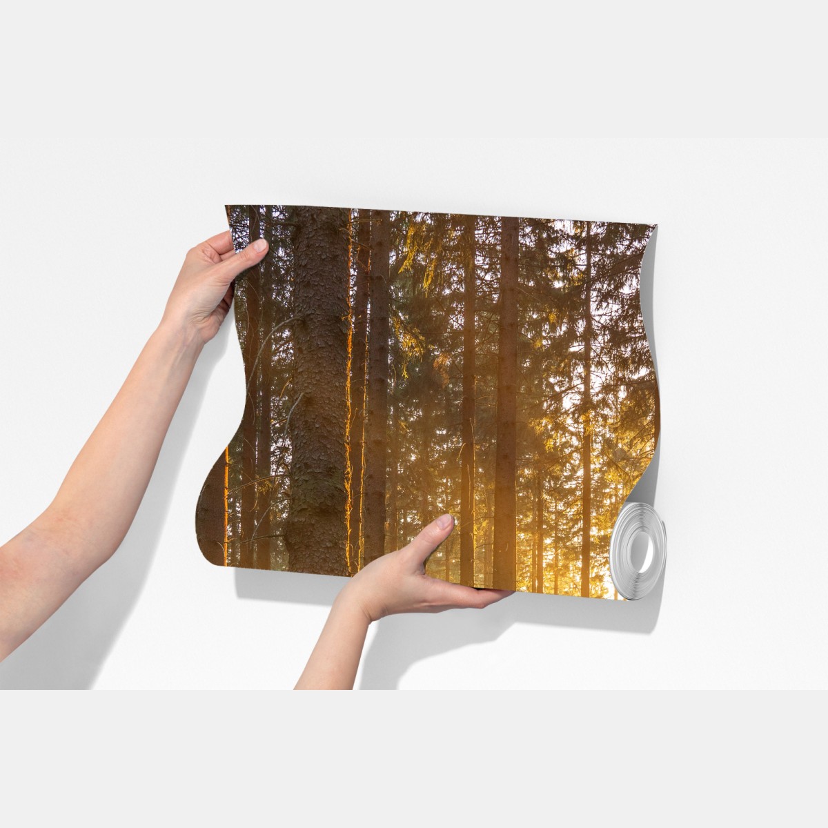 Fototapeta słoneczny las o poranku – Wallissimo® Fototapeta słoneczny las o poranku – Wallissimo®