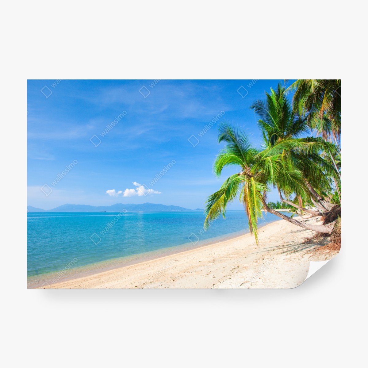 Fototapeta tropikalna plaża z palmami – Wallissimo® Fototapeta tropikalna plaża z palmami – Wallissimo®