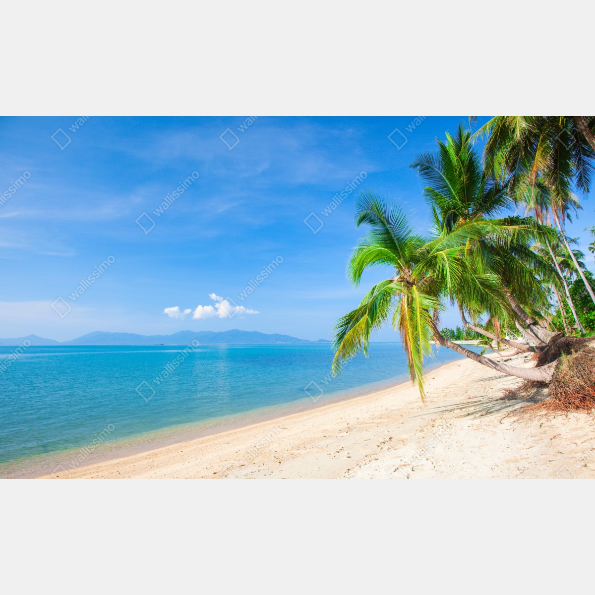 Fototapeta tropikalna plaża z palmami – Wallissimo® Fototapeta tropikalna plaża z palmami – Wallissimo®