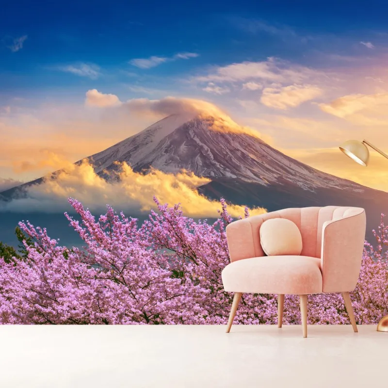 Fototapeta Góra Fuji z kwitnącą sakurą o wschodzie słońca