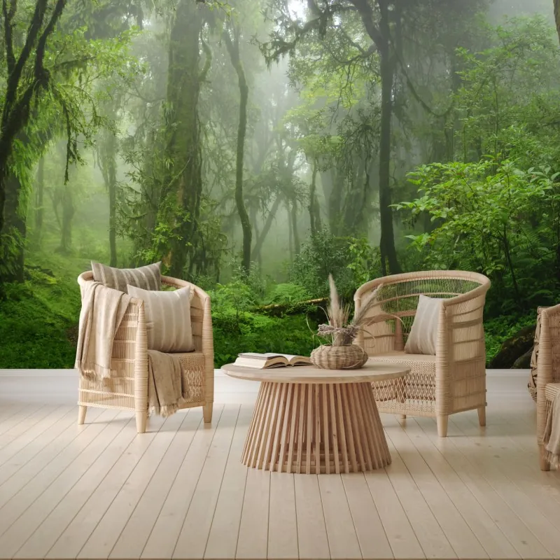 Fototapeta mglisty tropikalny szlak w dżungli