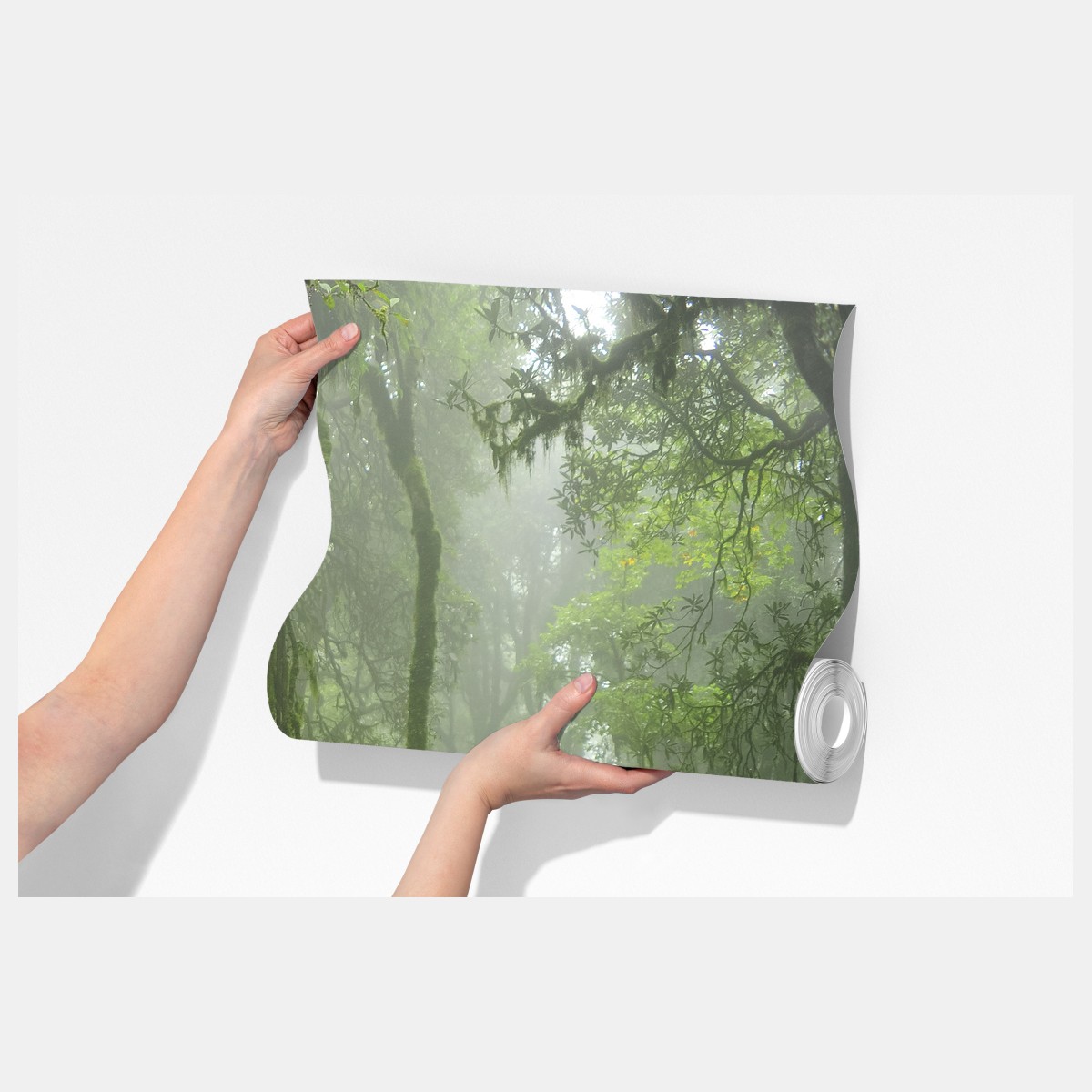 Fototapeta mglisty tropikalny szlak w dżungli – Wallissimo® Fototapeta mglisty tropikalny szlak w dżungli – Wallissimo®