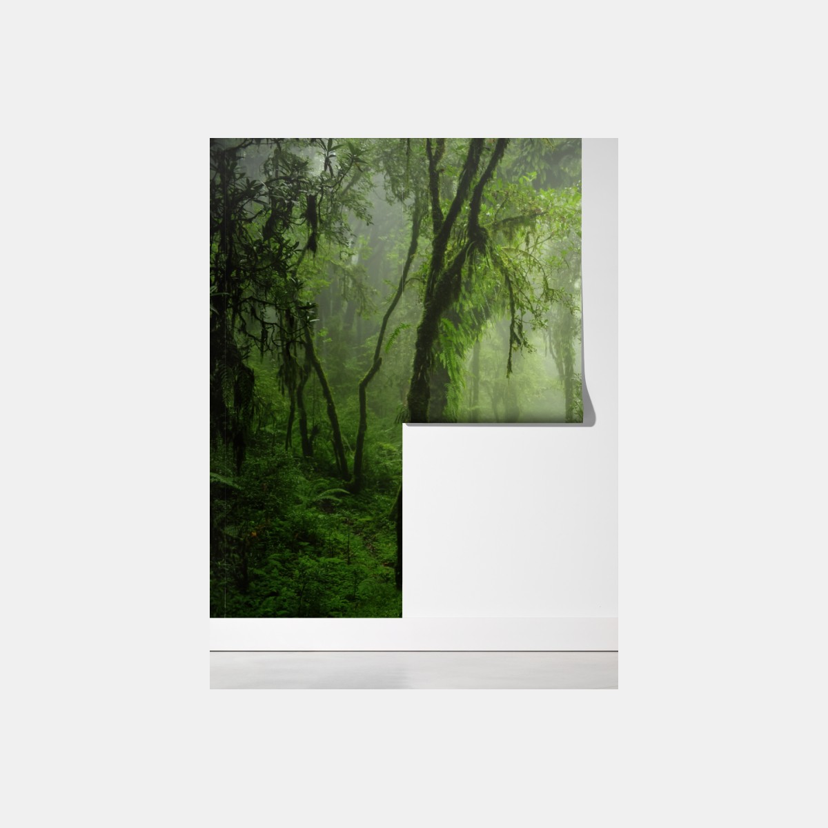 Fototapeta mglisty tropikalny szlak w dżungli – Wallissimo® Fototapeta mglisty tropikalny szlak w dżungli – Wallissimo®