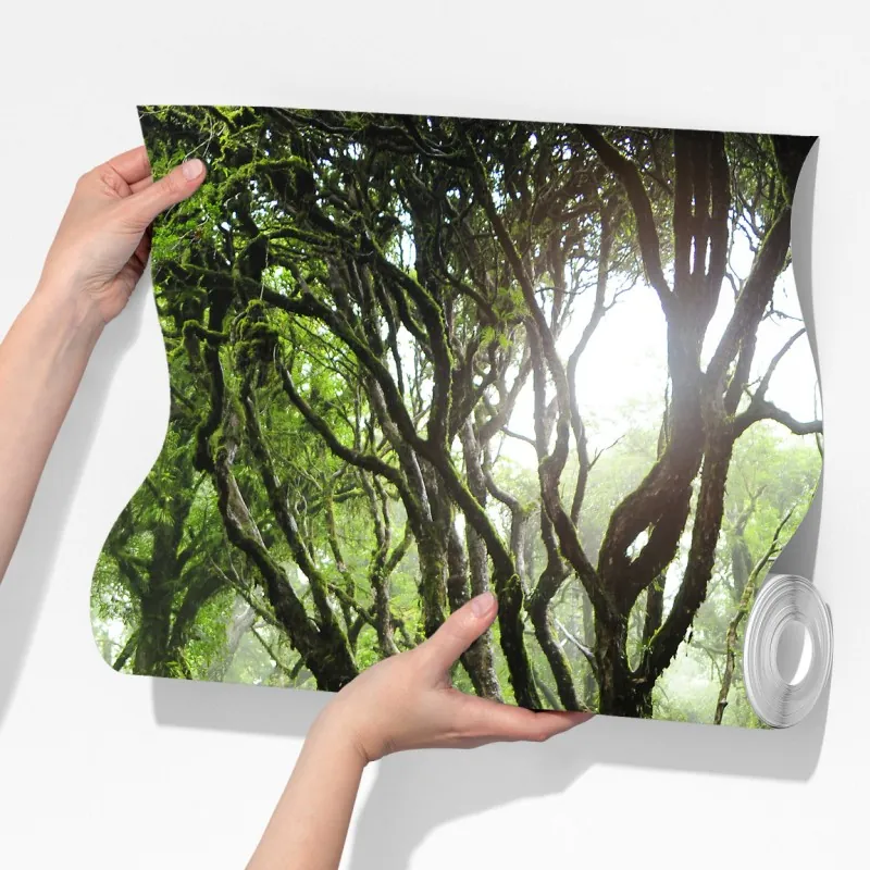 Fototapeta mistyczny zielony las – Wallissimo® Fototapeta mistyczny zielony las – Wallissimo®