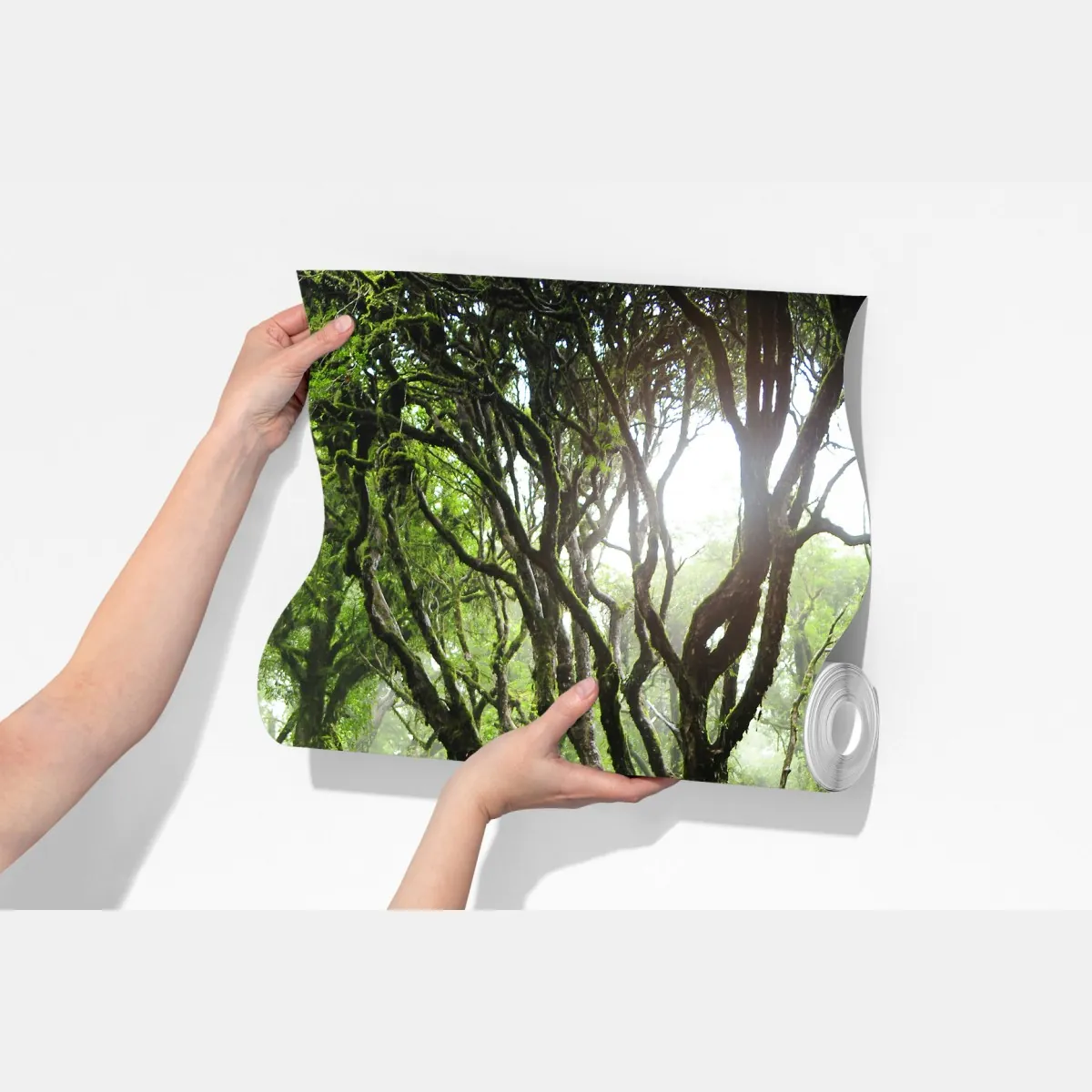 Fototapeta mistyczny zielony las – Wallissimo® Fototapeta mistyczny zielony las – Wallissimo®