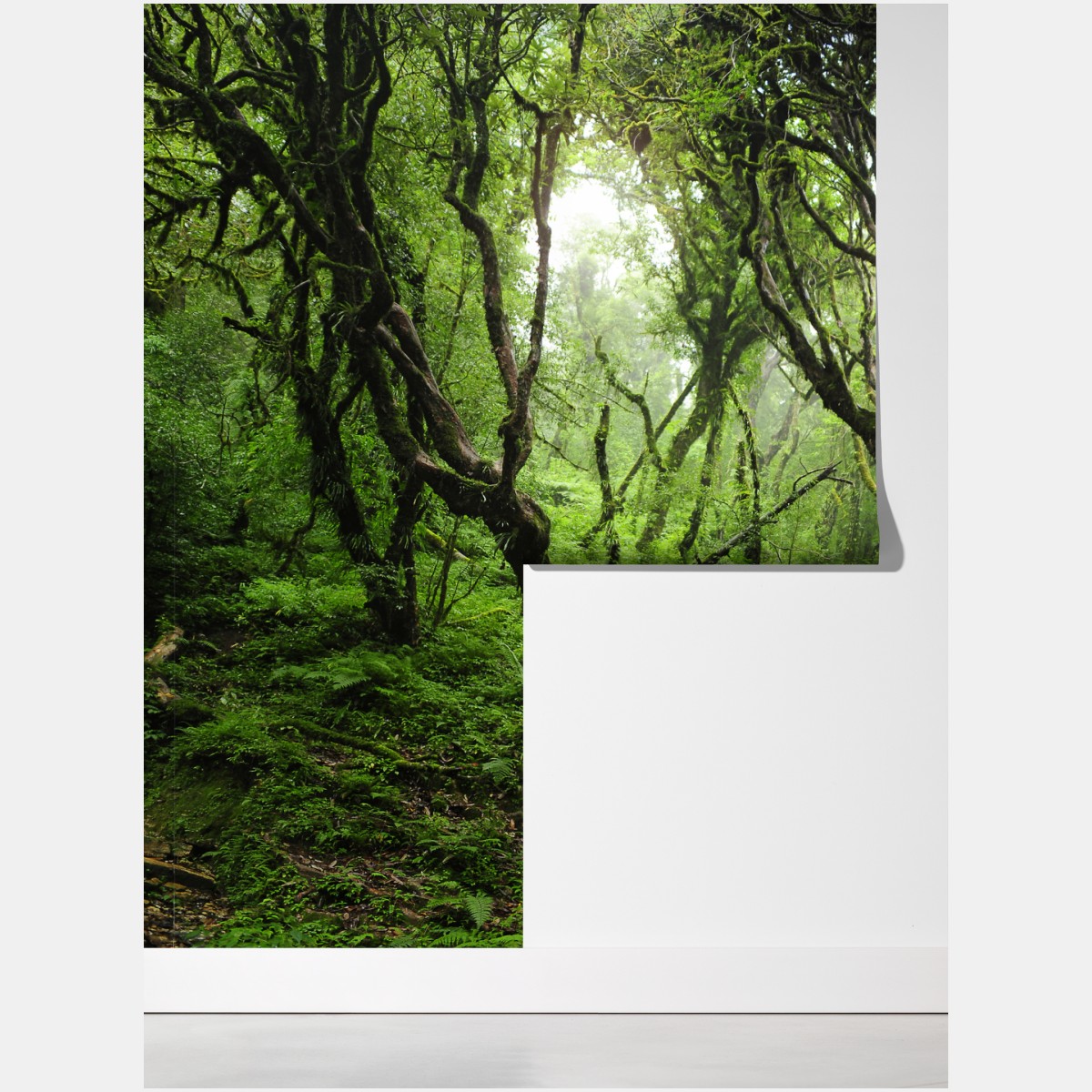 Fototapeta mistyczny zielony las – Wallissimo® Fototapeta mistyczny zielony las – Wallissimo®