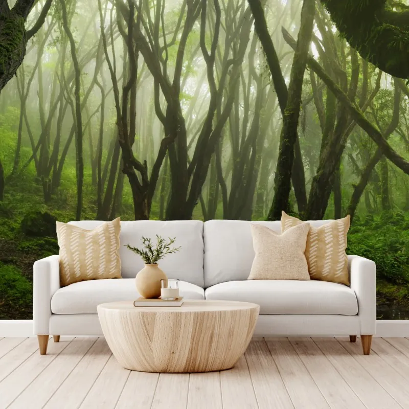 Fototapeta mglisty zielony leśny szlak