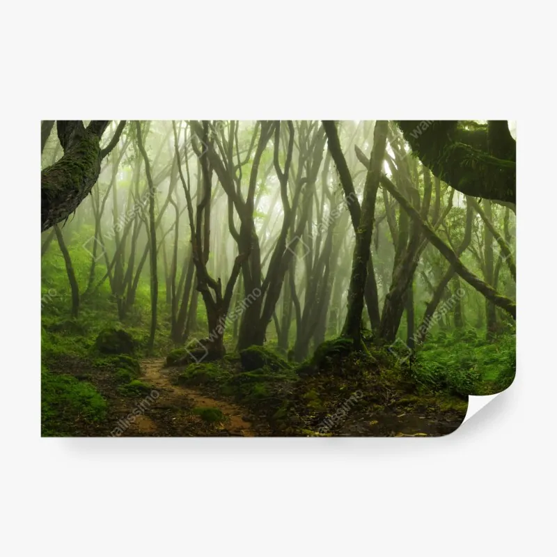 Fototapeta spokojne łabędzie i lotosy – Wallissimo®