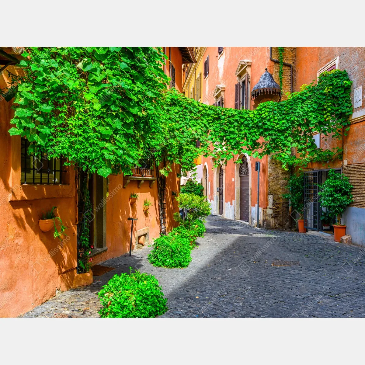 Fototapeta malownicza uliczka w Trastevere, Rzym – Wallissimo® Fototapeta malownicza uliczka w Trastevere, Rzym – Wallissimo®