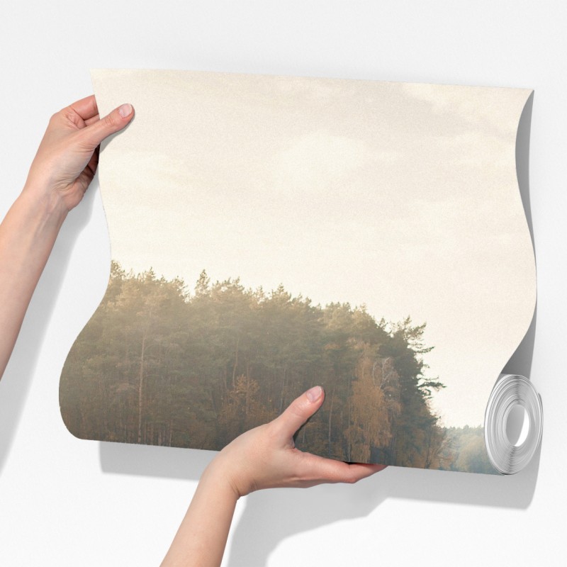 Fototapeta jesienne przedpołudnie nad jeziorem z pomostem – Wallissimo® Fototapeta jesienne przedpołudnie nad jeziorem z pomostem – Wallissimo®