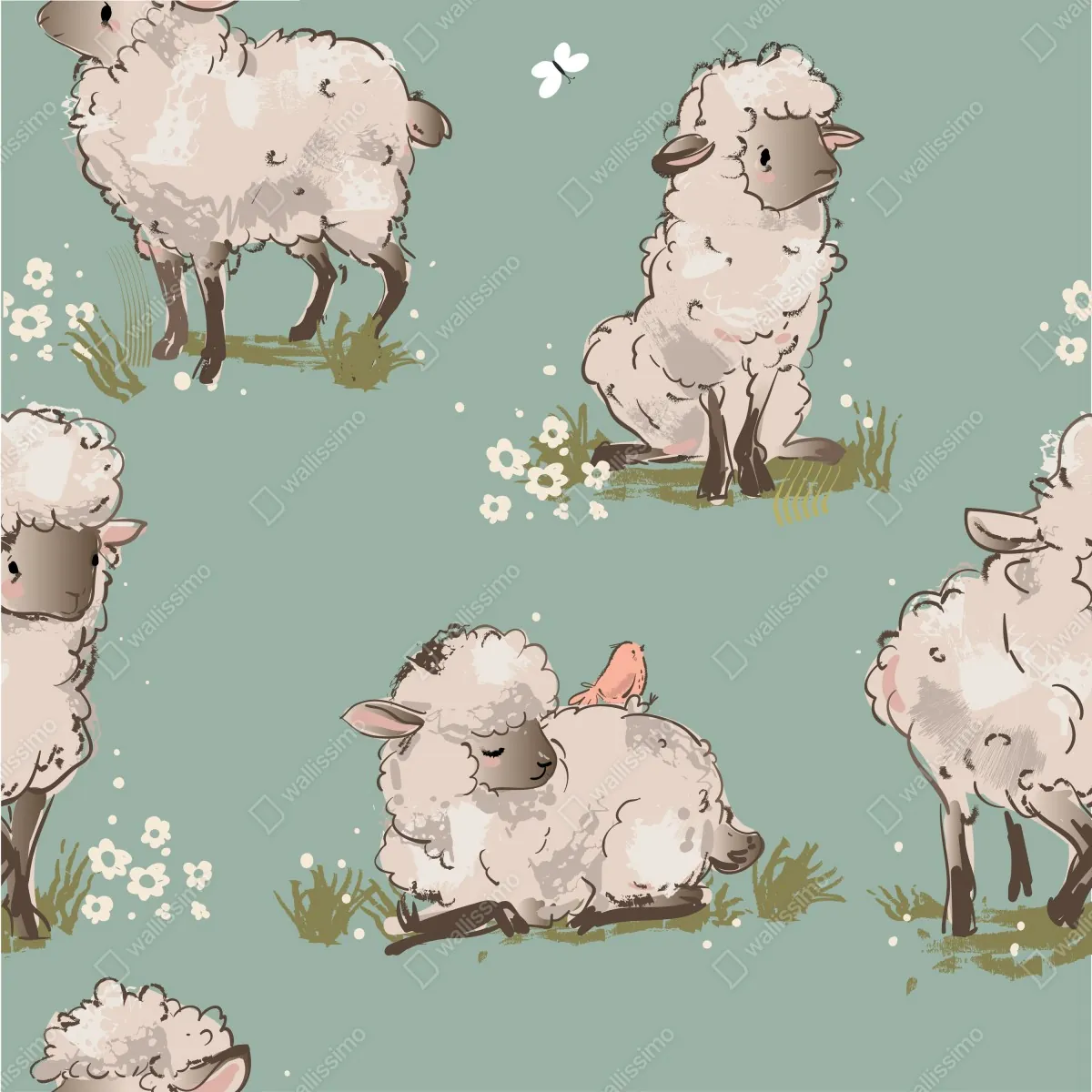 Fototapeta urocze jagnięta na turkusowym tle – Wallissimo® Fototapeta urocze jagnięta na turkusowym tle – Wallissimo®