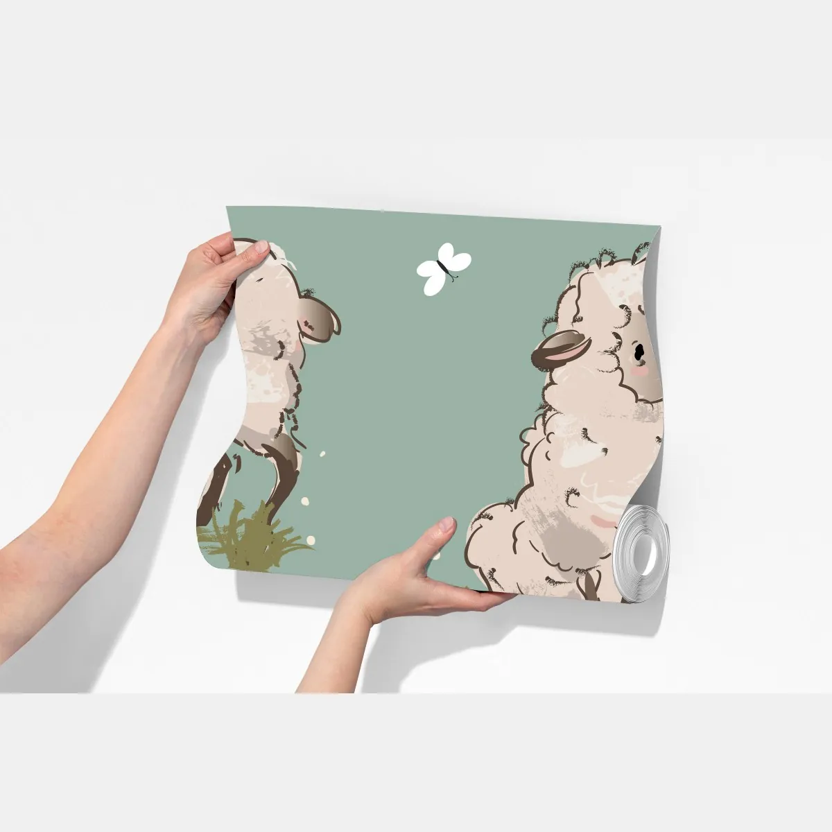 Fototapeta urocze jagnięta na turkusowym tle – Wallissimo® Fototapeta urocze jagnięta na turkusowym tle – Wallissimo®