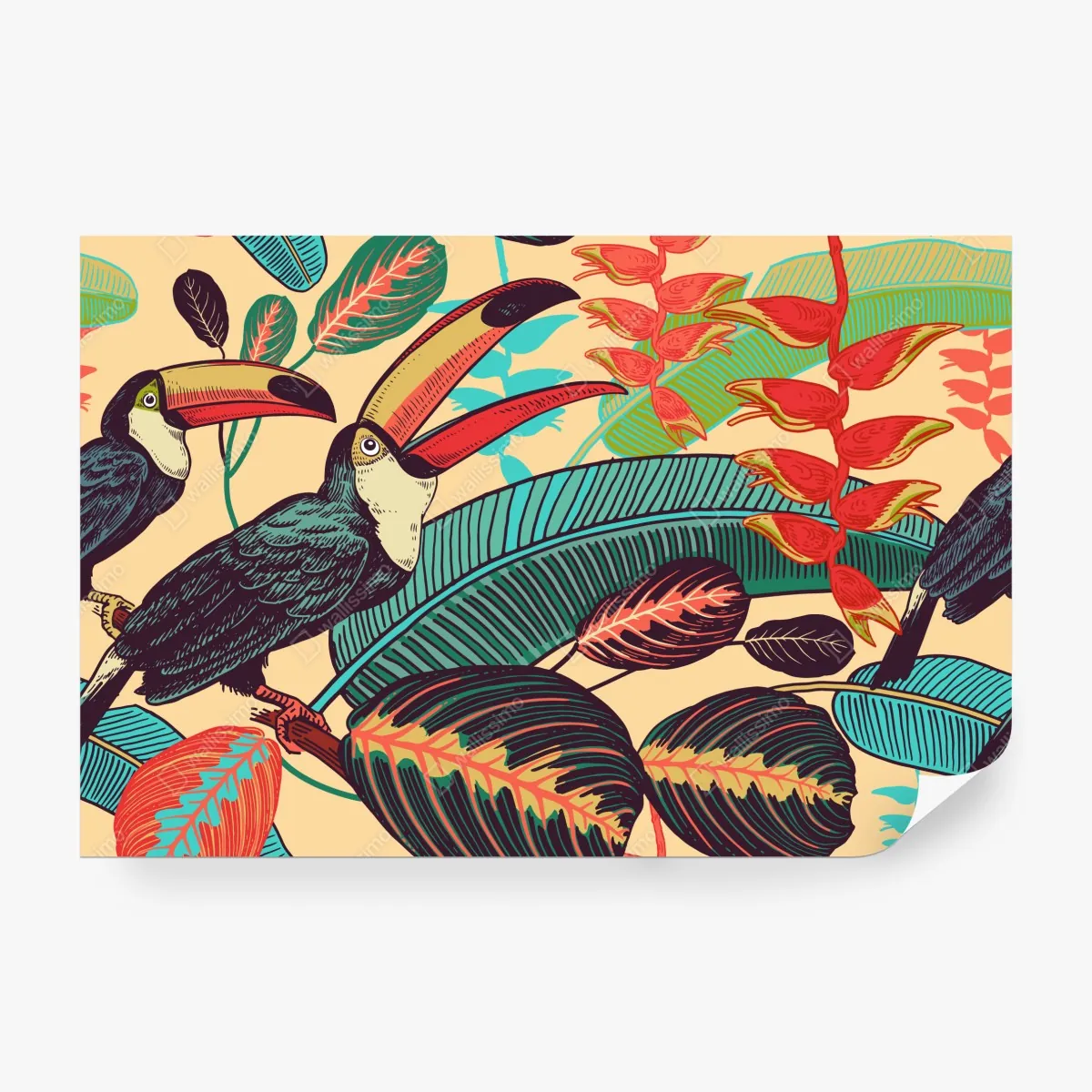 Fototapeta tropikalny raj tukanów – Wallissimo® Fototapeta tropikalny raj tukanów – Wallissimo®