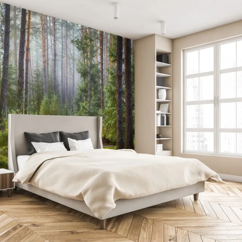 Fototapeta mglisty sosnowy las z ścieżką