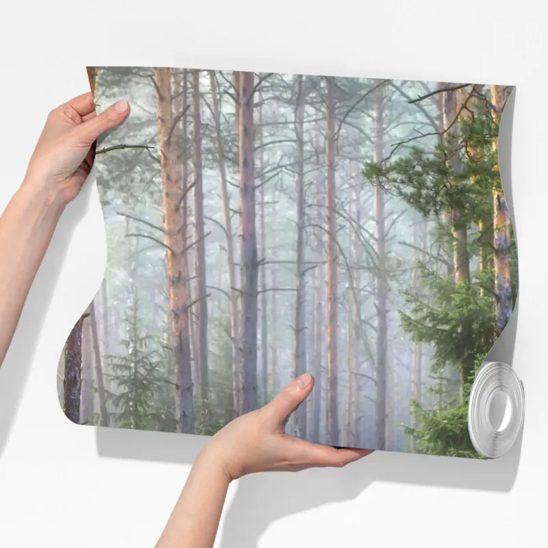 Fototapeta mglisty sosnowy las z ścieżką – Wallissimo® Fototapeta mglisty sosnowy las z ścieżką – Wallissimo®